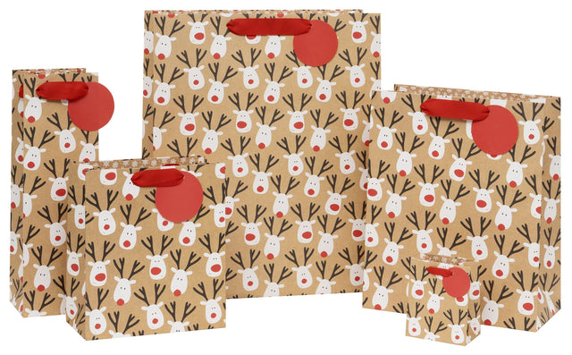 Reindeer Selfie Gift Bag - Large