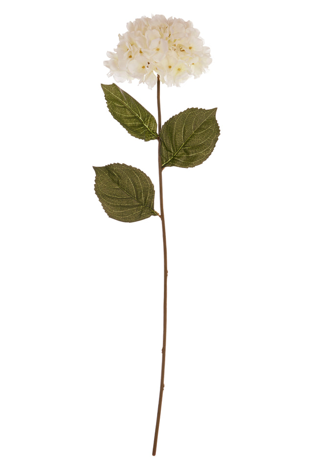 Cream Hydrangea Flower Stem