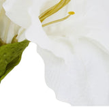 Ivory Amarylilis Flower Stem