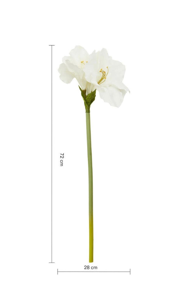 Ivory Amarylilis Flower Stem