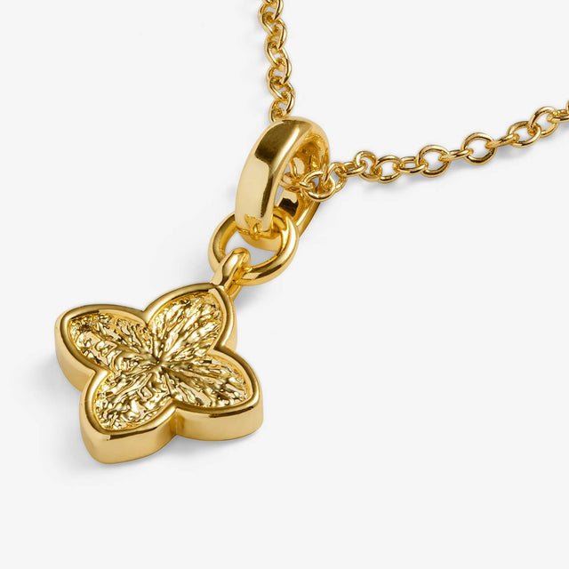 Joma Textured Clover Gold Plated Necklace
