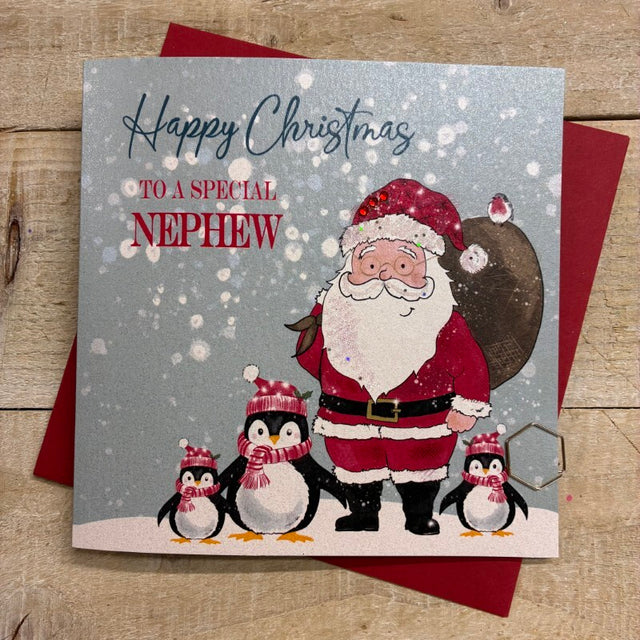 Nephew Santa & Penguins Christmas Card