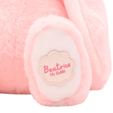 Beatrice Plush Pink Bunny 30cm