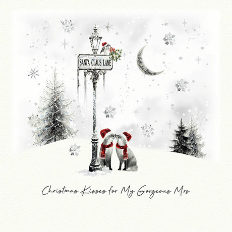 Christmas Kisses For My Gorgeous Mrs Card