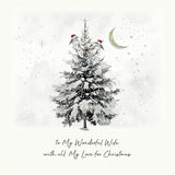 To My Wonderful Wife With All My Love For Christmas Card