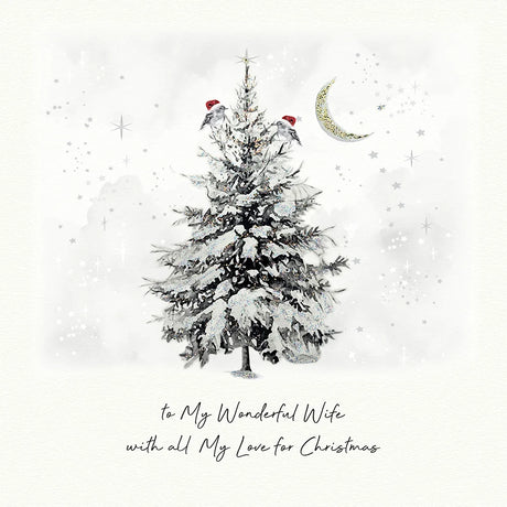 To My Wonderful Wife With All My Love For Christmas Card