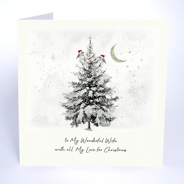 To My Wonderful Wife With All My Love For Christmas Card