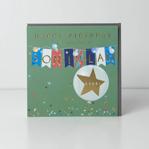 Best Son In Law Birthday Card