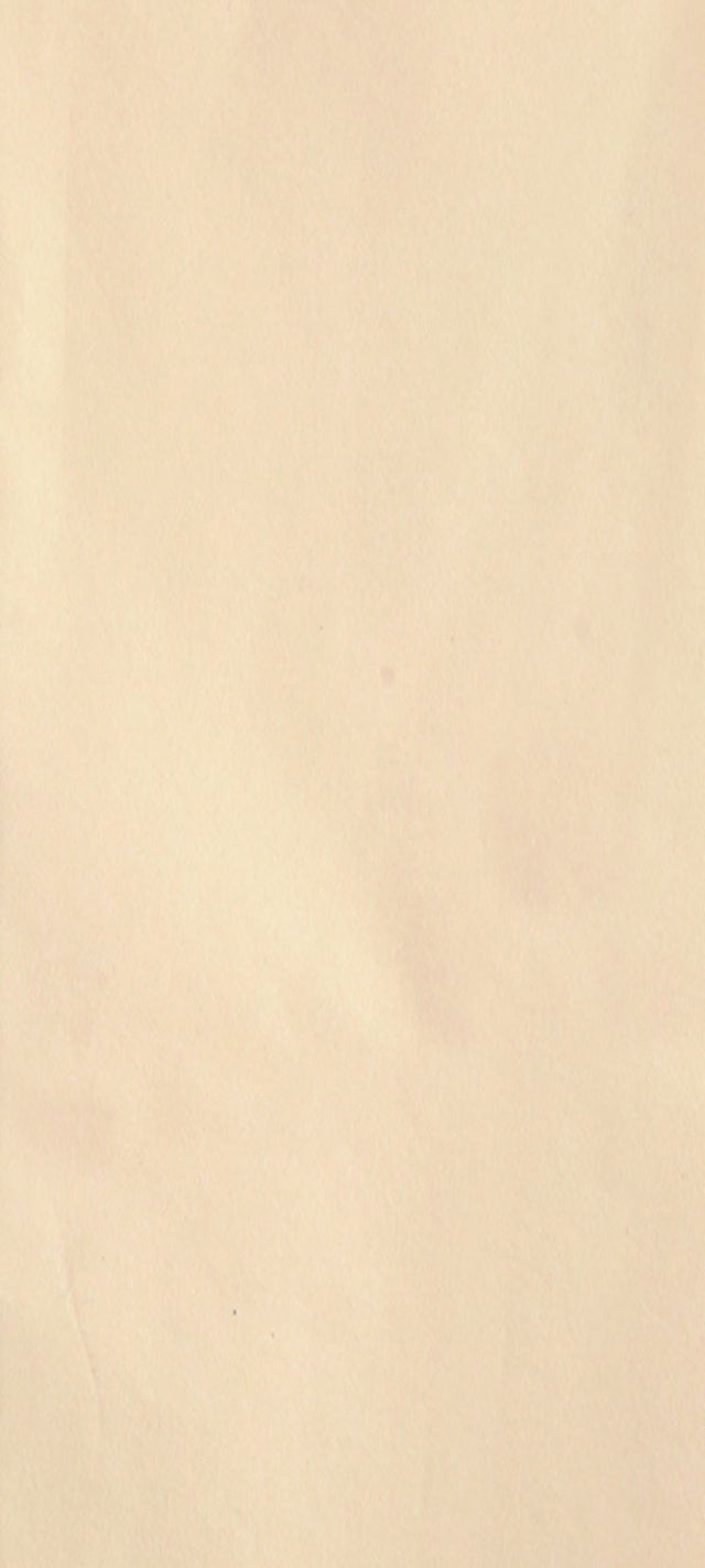 Tissue Paper - Ivory