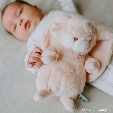 Tiny Nibble Pink Bunny