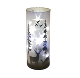 Winter Wonderland Star Sparkler Light up Cylinder - White