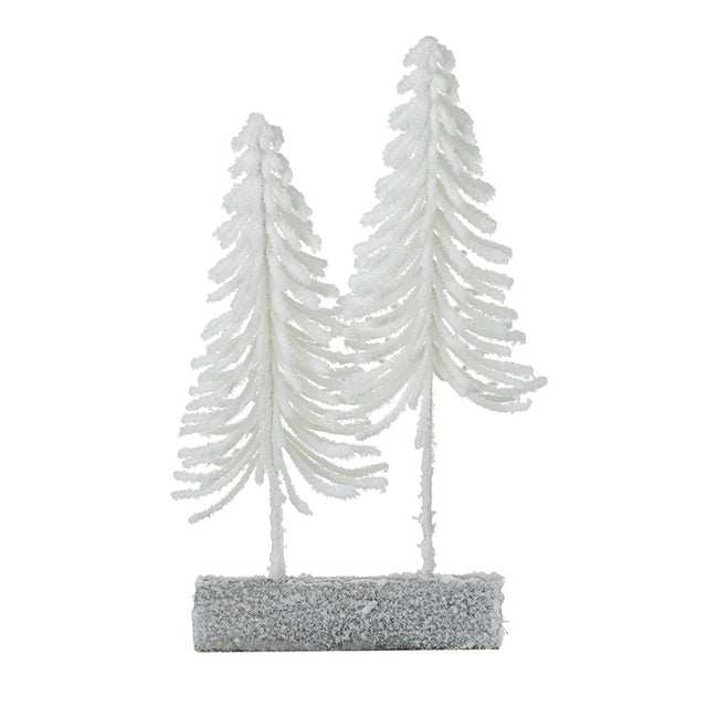 Small White Fir Trees